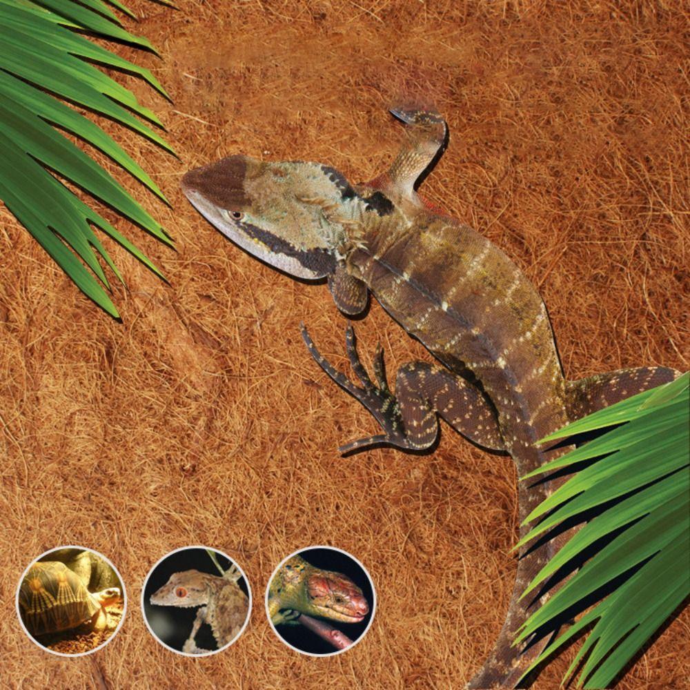 

Прямоугольный коврик для черепахи, нескользящий коврик для цветочной корзины, многофункциональный дверной коврик для змеи, ящерицы, черепахи