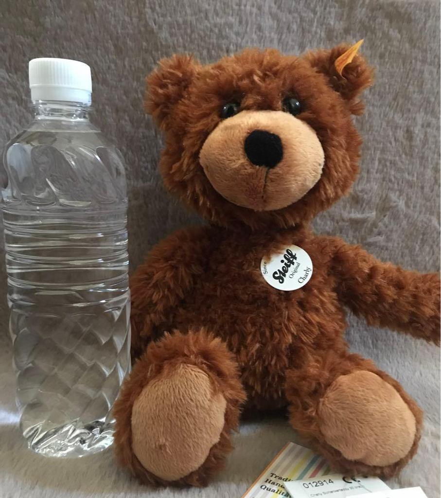 [USED] Steiff Charlie Teddy Bear, 30cm