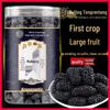 North Tongnei Ting Shangyong 220g Wash-Free Dried Mulberry Tea - No Fumigation, No Boiling Needed, Genuine Product