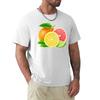 Various citrus fruits TShirt Big Size Simple TShirt