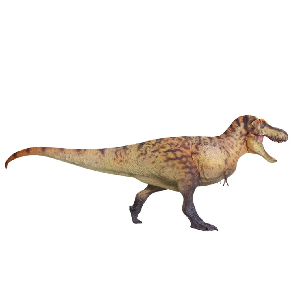 HAOLONGGOOD 135 Scale Tyrannosaurus Rex, 33cm, PVC, CE Painted, Cretaceous Period, Tyrannosauridae, Carnivorous Dinosaur Figure, Realistic Model,