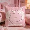 Asamimichaan AAsleeps Cute Cushion Cover Premium Comfort Reversible Pillow Cove Two In One Design For Any Room  Car Interior