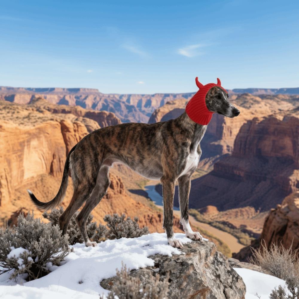 Funny Warm Dog Head Cover Cartoon Fashion Pet Knitted Hat Comfortable Soft Pet Calming Headgear Outdoor