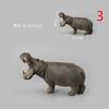 Animal Models Simulation of Wild Animals Toy Models Hippopotamus Models