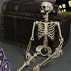 Realistyczne Kości Ludzkie Całego Ciała Rekwizyty Halloween Elastyczne Stawy Przenośne Plastikowe Dekoracja Wewnętrzna Zewnętrzna