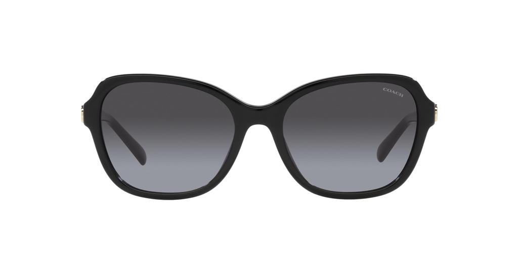 Sunglasses HC8349U CD481 50028G BLACK 56 [Coach] Women's
