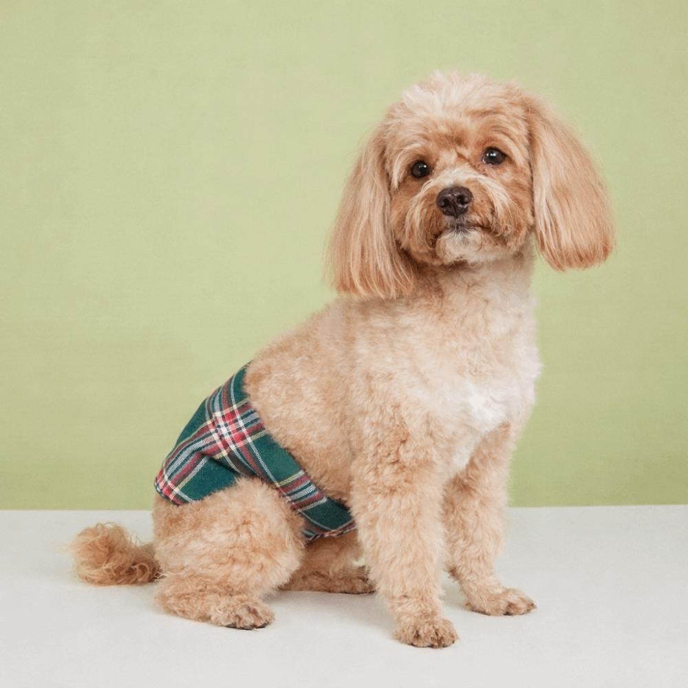 Leak Proof Dog Diapers Washable Breathable Male Dog Belly Wrap Dog Paw Pattern Adjustable Dogs Safety Pants Travel Use