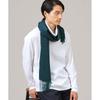 Takeo Kikuchi Cashmere Solid River Cashmere Moss Green 00 100% Stole/Scarf, Pattern, Color-Combo Scarf, Men's, G8701093, (024), (FREE)