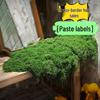 Artificial Green Moss Turf for Indoor Landscape Decoration and Micro-Landscapes