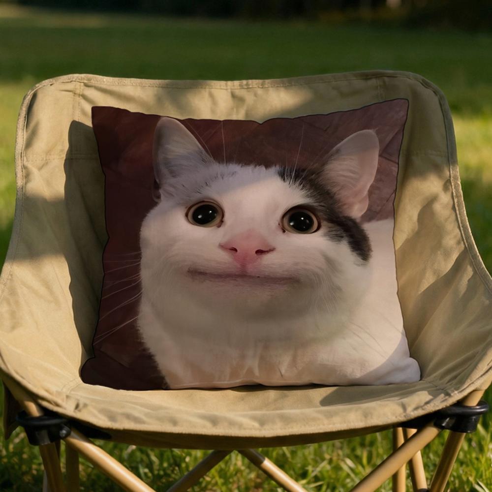 Pet Cat Funny memes Cushion Cover Soft Reversible Durable Pillow Cover MultiScene Use for Home Car Daily Comfort