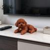 Miniature Sleeping Dog Decor Realistic Puppy Dashboard Ornament Cute Figure Pet Keepsake for Birthday Gift Vivid Statue Car Interior Desk Decoration