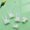 Bird Utensils Parrot Fruit Fork Plastic Birdcage Fork Durable Fruit Snacks Fork  Feeder Accessories