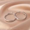 European American Style Luxury Stud Earrings: Elegant Cross-border Niche Hoops, Versatile Celebrity-inspired Accessories
