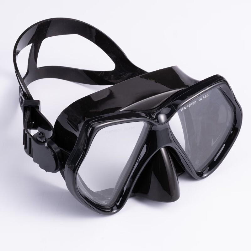 

Ambassador Alliance Swimming & Diving Mask