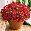 Artificial Flower Door Basket Wreath Cascading Green Leaves Branches Realistic Look UV Resistant Faux Flower Home Decor