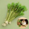 Kedi – Kedi Oyuncakları