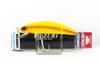 Yo Zuri Duel 3D Inshore Minnow 110 Floating Lure R1213-YELL (0916)