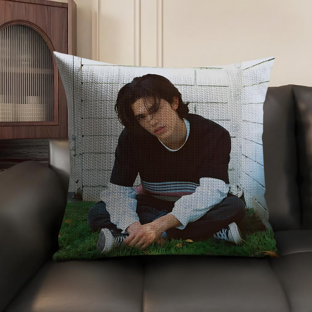 Singer CConan GGray Cushion Cover Natural Linen Organic Fabric DoubleSided Printing Sofa Home Decor Gift Pillow Case