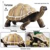Cross-Border Children's Cognitive Amphibian & Reptile Tortoise Model Fish Tank Ornament Toy