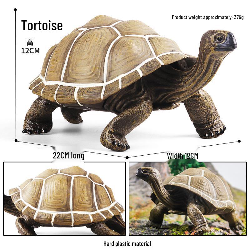 Cross-Border Children's Cognitive Amphibian & Reptile Tortoise Model Fish Tank Ornament Toy