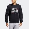 adidas Sweatshirts Men's Black Crew Neck Moderate Regular GR3044