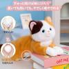 Homehalo Realistic Plush Cat Stuffed Super Fluffy Cat Body Pillow with Belly Weighted Soothing Body Funny Christmas Present Animal, Cute, Beads,