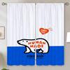 Human Made Elegant Room Curtains for Living Room Tulle in Kitchen Curtain Tiebacks Blinds Home Interior Curtains Salon 2 Pieces