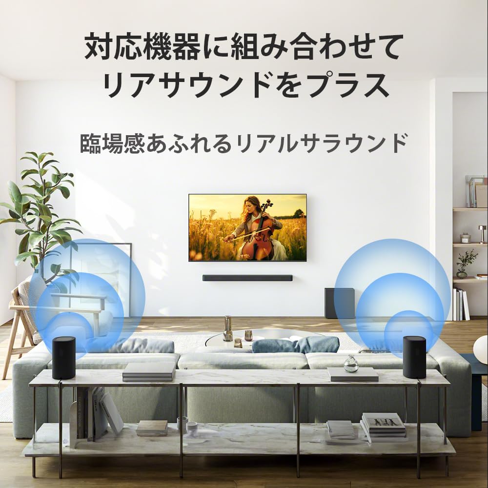 Sony Rear Speaker BRAVIA Theatre Rear 8 SA-RS8