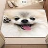 Chien Pomeranian Blanc Moelleux Souriant avec la Langue Tirée Portrait d'Animal de Compagnie Joueur Tapis de Sol Antidérapant Tapis Animal Mignon pour Décoration Intérieure
