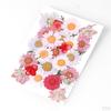 Dried Flowers DIY Decorative for Resin Jewelry Making Crafts Nail Stickers