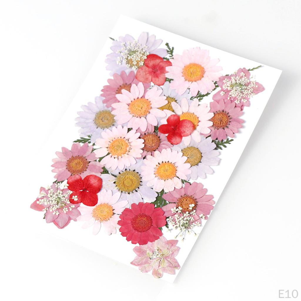 Dried Flowers DIY Decorative for Resin Jewelry Making Crafts Nail Stickers