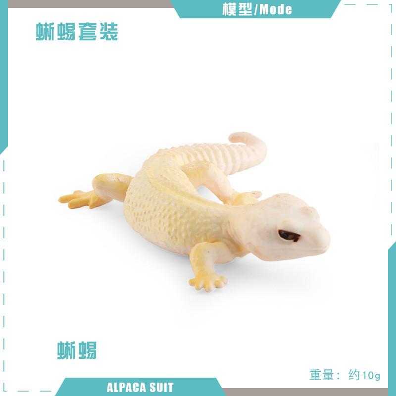 Lifelike Static Reptile Model Of Chameleon And Gecko Perfect For Home Decoration