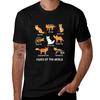 Foxes Of The World Fox Lover Tshirt Big And Tall Basic Tee Shirt
