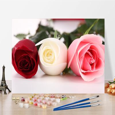DIY Painting By Numbers Digital Oil Painting Hobbies Visual Arts Oil Painting Home Decoration Numbers Oil Painting Numbers Painting