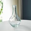 Simple Transparent Hydroponics Vase Glass Creaft Mini Glass Vase  Desktop Ornaments