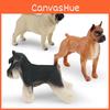 Conjunto de Figuras de Cão Boxer de PVC para Crianças Para Aprendizagem e Brincadeira Modelo de Colecionador Para Decoração de Mesa