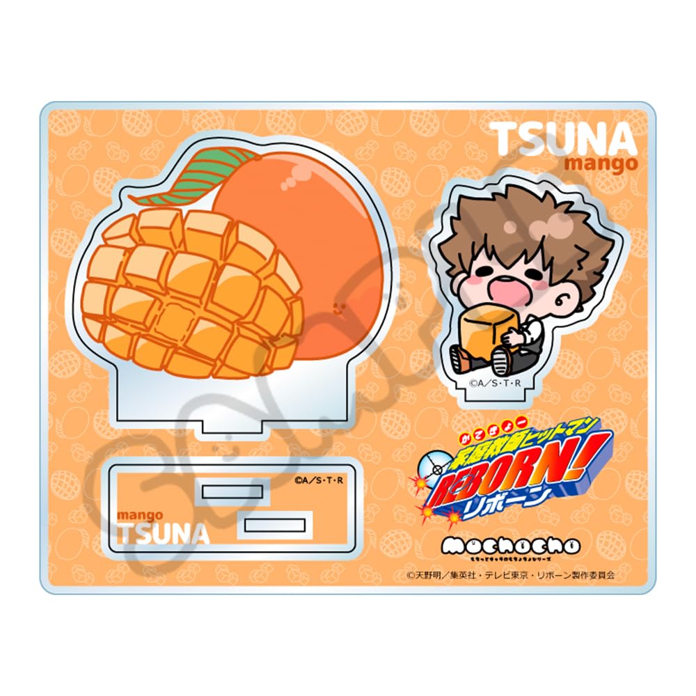 

ТВ Аниме Хитман Цунаёши Савада 3-й сезон Акриловая подставка M YB Katekyo REBORN!