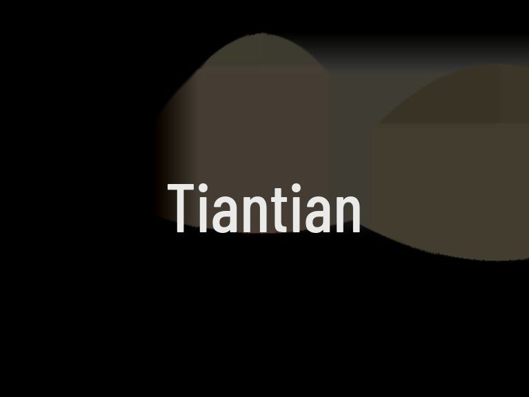 Huisdier hordeur: Katten- en hondeningang met antimuggenfunctie