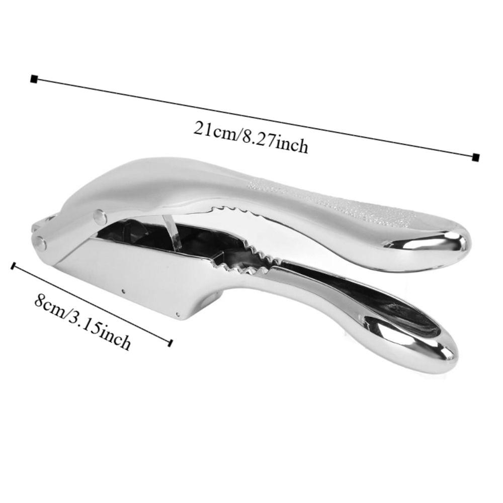 Presse-ail professionnel 2 en 1 Alliage d'aluminium Manuel Trancheur d'ail Poignée Confortable Économiseur d'effort Broyeur d'ail Gingembre