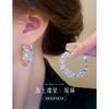 Super Flash Circle Earrings with Geometric Niche Design High Grade Earrings Versatile Daily Commuter Earrings for Women