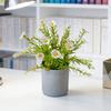 Potted Artificial Flower Spring Fake Wildflowers in Vase Small Realistic Faux Flower Decor
