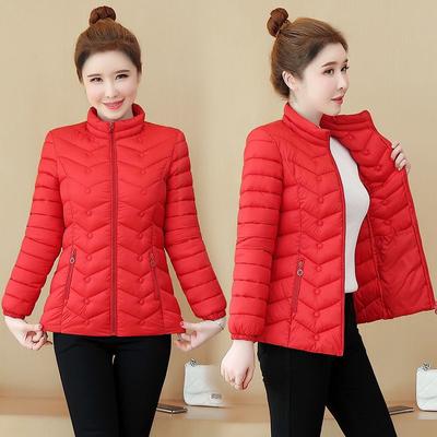 Veste en duvet de coton pour femme, courte, légère, ajustée, coupe ajustée, grande veste en coton de style étranger, nouvelle collection d'hiver