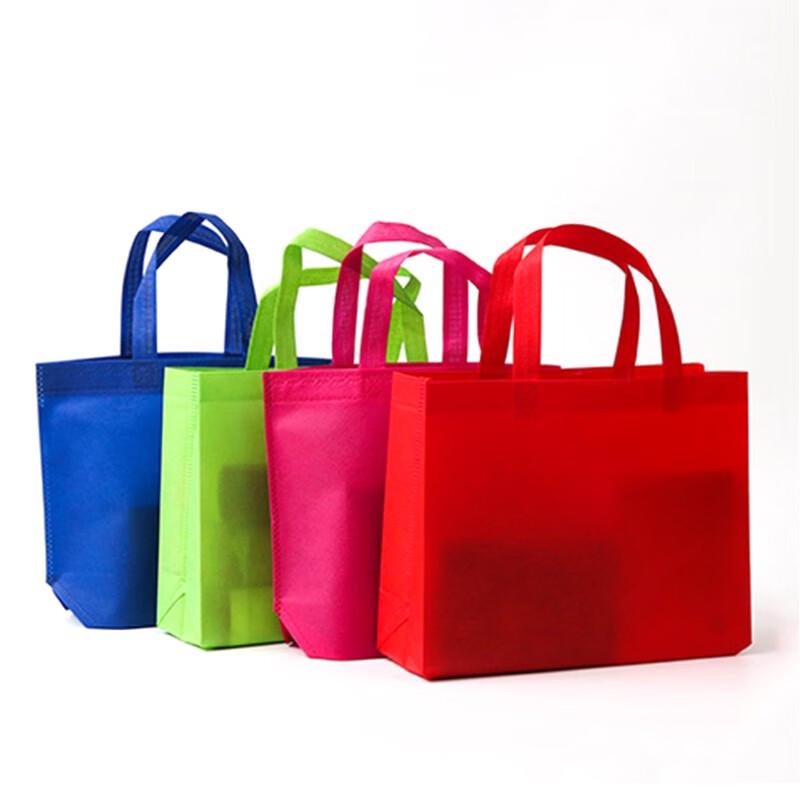 Winstan WST880 Reusable Non-woven Shopping Bags (10-Pack)
