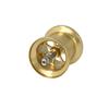 Avail Microcast Spool AMB2540R (ms_amb2540r_cgld), 4.0mm Groove Depth, Champagne Gold.