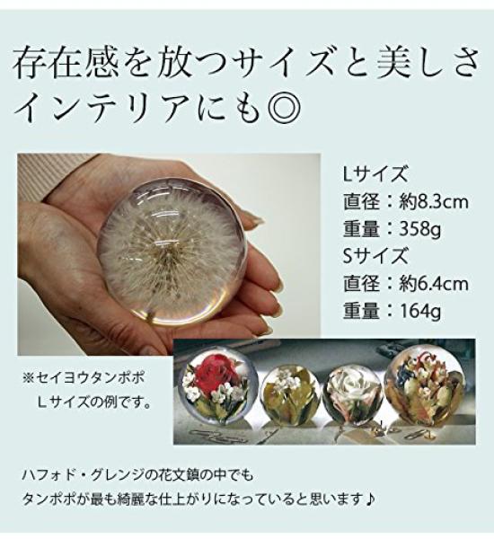 HafodGrange Flower HG18S Paperweight, Small, Forget-me-not,