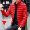 Men's Solid Color Warm Waterproof Windproof Down Cotton Coat