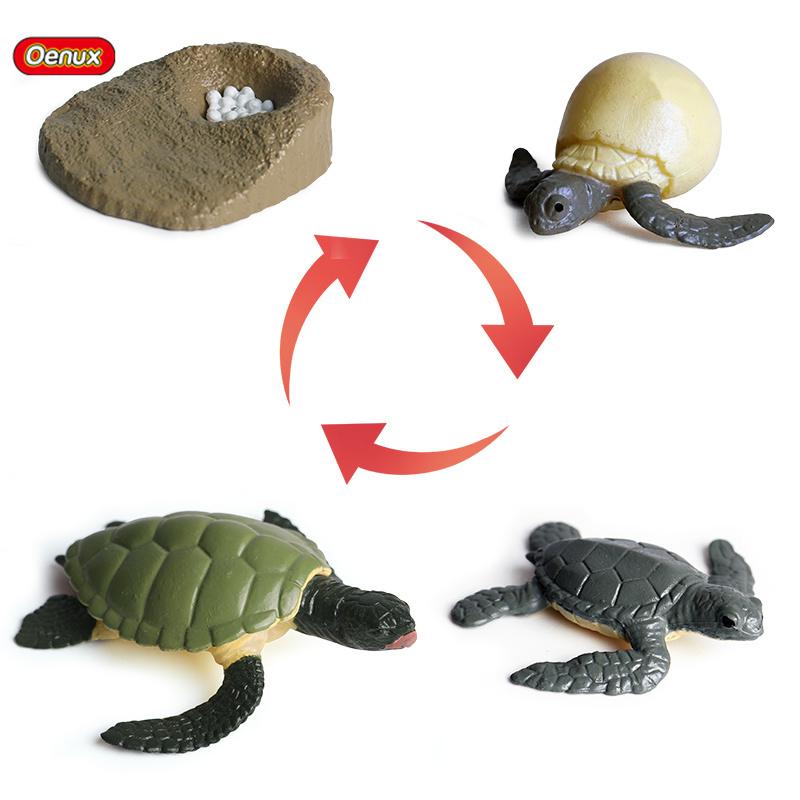 Oenux Simulation Luna Moth Salmon Butterfly Ants Life Growth Cycle Animals Model Action Figures Educational Miniature Kids Toy