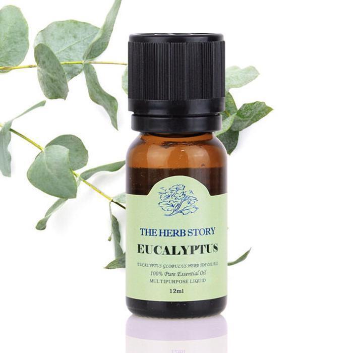 

Eucalyptus Aroma Essential Oil 12ml (15913922)