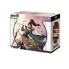 10th Anniversary Limited Edition "Three Kingdoms Kill S6": Gathering of Heroes - Female Generals Card Game