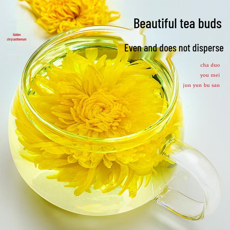First Village 100 Large Golden Silk Chrysanthemum Tea Flowers